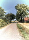 Fahrradurlaub Bornholm