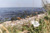 Fahrradurlaub Bornholm 2018