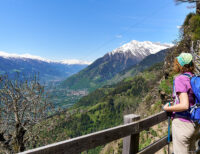 Blick von der Hochmuth (1400m) zur Texelgruppe und ins Tal nach Algund (Südtirol)