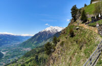 Blick von der Hochmuth (1400m) zur Texelgruppe und ins Tal nach Algund (Südtirol)