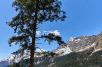 Blick zur Texelgruppe auf dem Weg von der Leiteralm zum Hochganghaus
