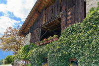 bei Gasthof Oberlechner (Vellau, oberhalb Algund)
