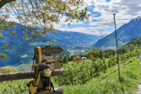 bei Gasthof Oberlechner (Vellau, oberhalb Algund)
