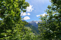 auf dem Waalweg zwischen Saltaus und Riffian (Südtirol)