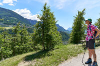 auf dem Waalweg zwischen Saltaus und Riffian (Südtirol)