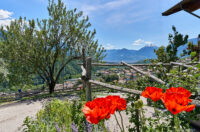 Blick auf Riffian (Südtirol)