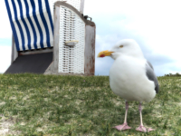 Norderney 2019 Norderney 2019