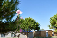 Spätsommer auf dem Campingplatz Le Suroit auf der Ile d´Oleron