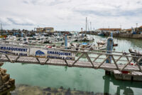 am Hafen von la Cotinière auf der Ile d´Oleron