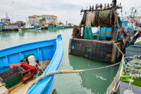 am Hafen von la Cotinière auf der Ile d´Oleron