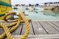 am Hafen von la Cotinière auf der Ile d´Oleron