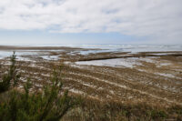der Atlantik im Norden der Ile d´Oleron