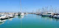 am Hafen von St. Denise auf der Ile d´Oleron