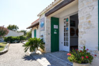 leckere ökologische Weine direkt vom Winzer Favre auf der Ile d´Oleron