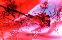 Fachschule für Blumenkunst Weihenstephan Ausstellung Fachschule für Blumenkunst Weihenstephan Ausstellung