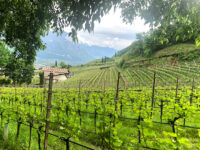 Wandern rund um TRamin