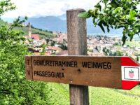 Wandern rund um TRamin