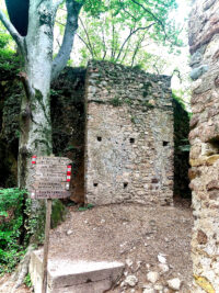 an der Rastenbachklamm