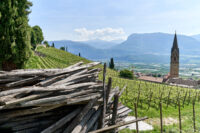 Wandern rund um Tramin