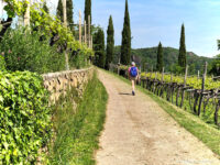 Wandern rund um Tramin