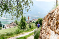 am Gewürztraminer Weg Richtung Rungg